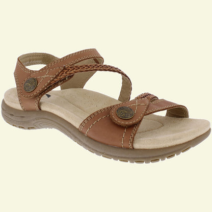 Malibu Walnut